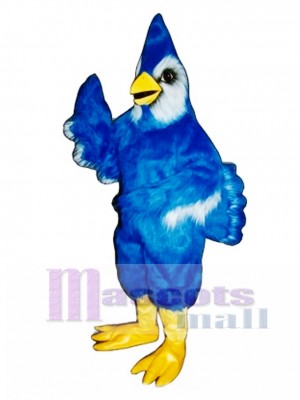 New Blue Jay Disfraz de mascota
