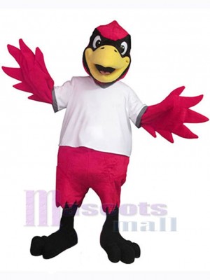 Pájaro cardenal macho Disfraz de mascota Animal